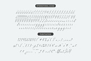 Delynta Roastiph Handwritten Ink Fon, a Script Font by Letterena Studios Script (Thumbnail 13 of 15)
