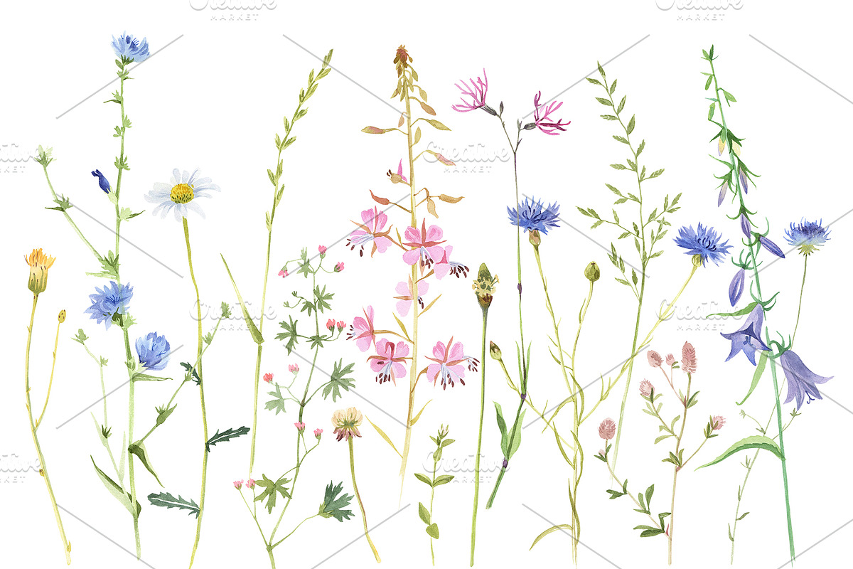 Hand drawn botanical bundle, an Illustration by handsketched (Photo 13 of 24)
