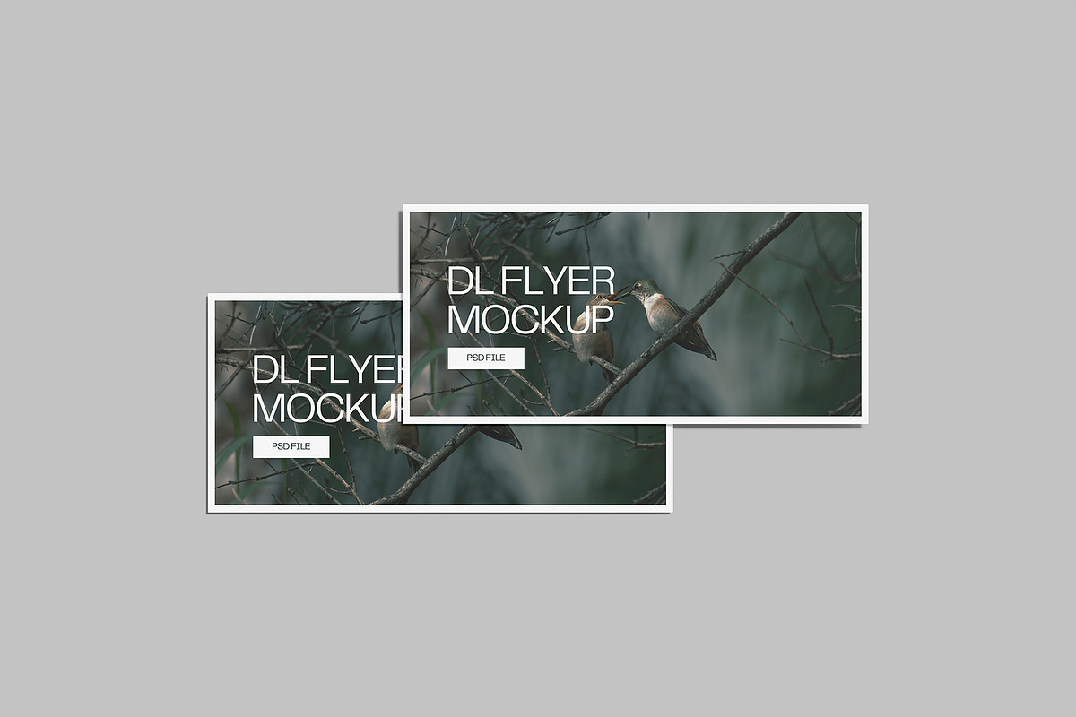 Landscape DL Flyer Mockup, a Print Template by Graphiculon (Photo 6 of 13)