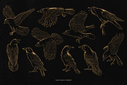Crow Raven Illustrations pack, an Animal Illustration by Trape Graphic Studio (Thumbnail 3 of 7)