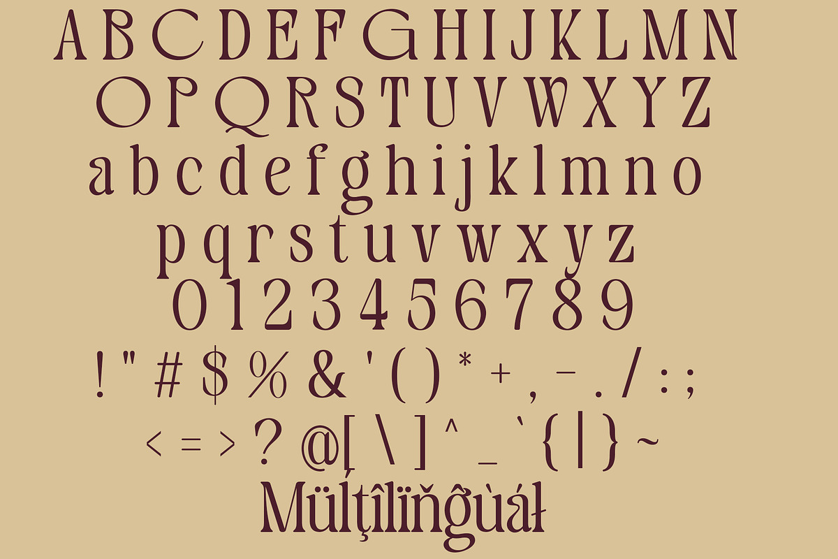 Congenty – Serif Font, a Serif Font by NDNL Studio (Photo 10 of 11)