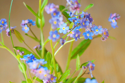 Simplicity Stock Picture preview 4