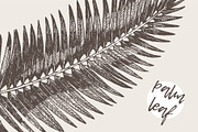 High detail hand drawn palm leaf, a Decorative Illustration by TheMountBirdStudio (Thumbnail 1 of 2)