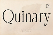 CS Quinary – Condensed Font, a Serif Font by Craft Supply Co. (Thumbnail 1 of 8)