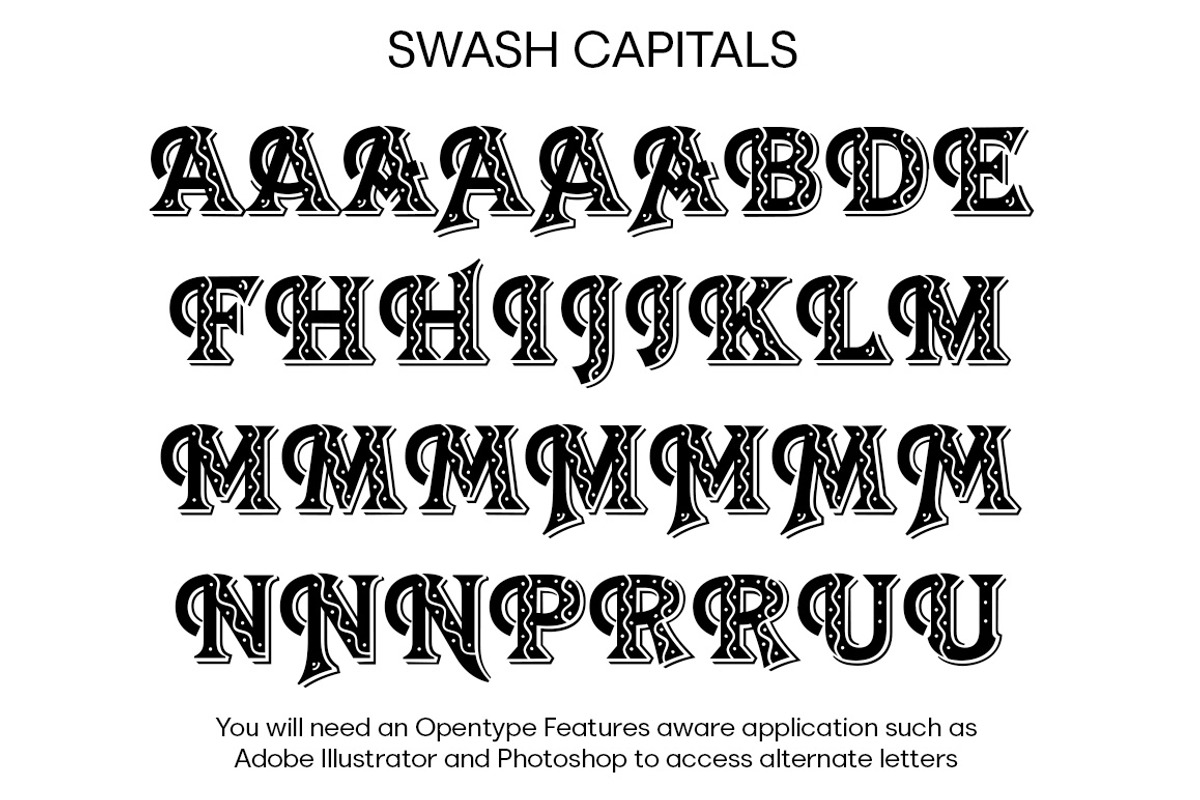 Taco, a Font by FontMesa (Photo 10 of 10)