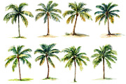 Watercolor Tropical Palm Trees, an Illustration by Designworld (Thumbnail 2 of 6)