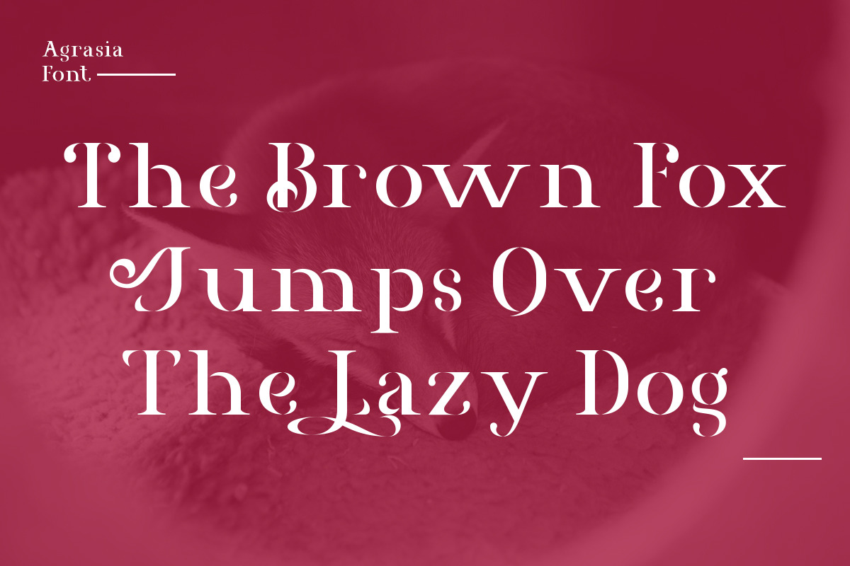 Agrasia | Serif Font preview 4