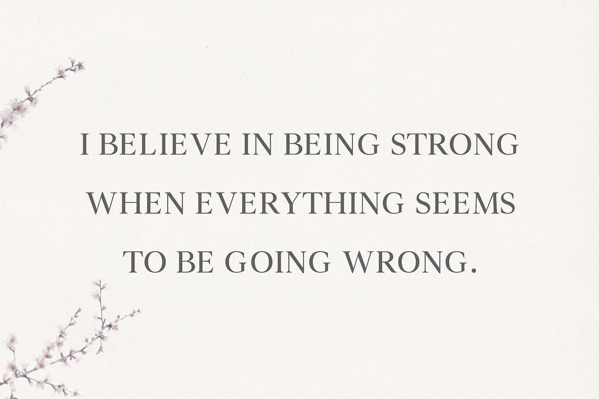 Denish Sans & Serif Duo Font Family, a Serif Font by Creativetacos (Photo 2 of 12)