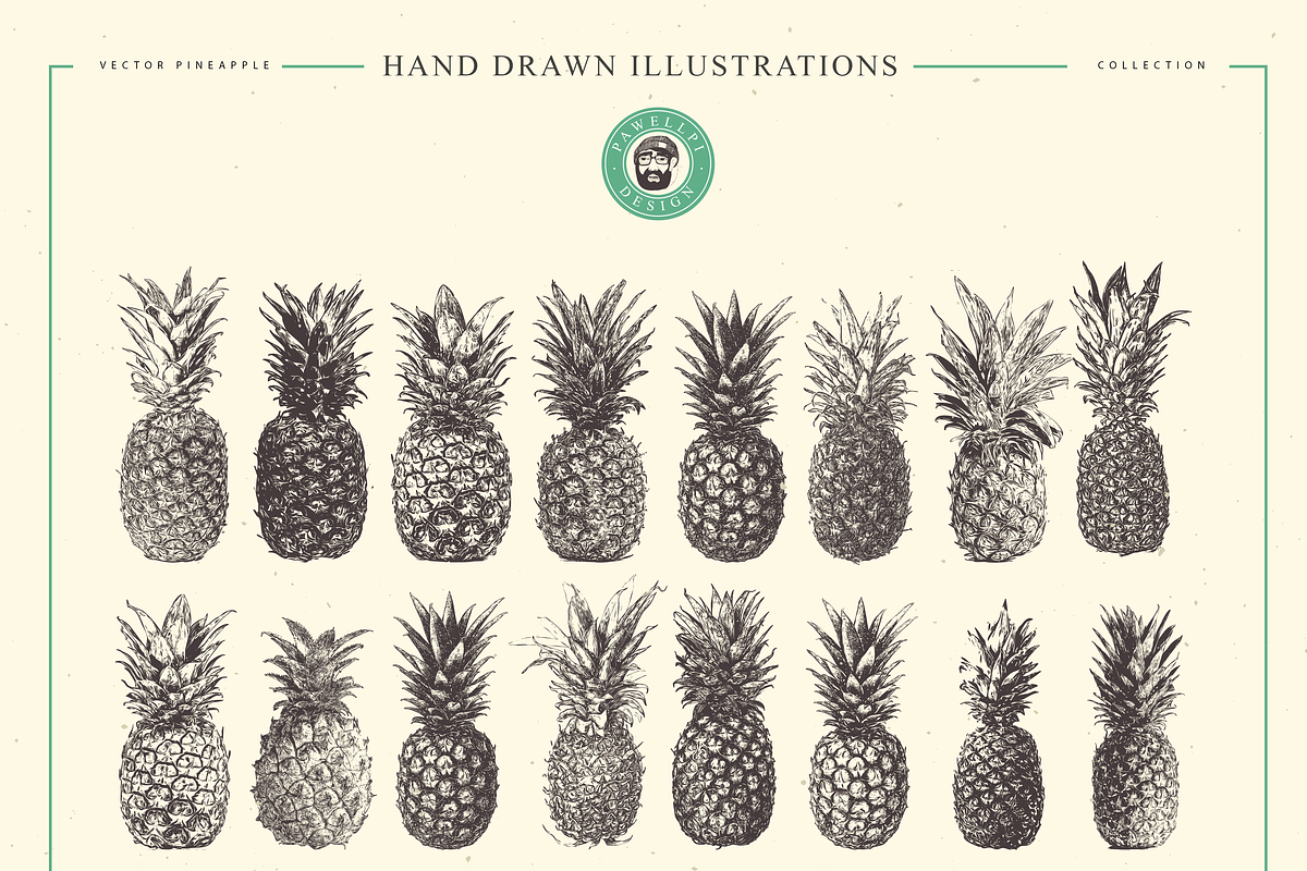 VECTOR PINEAPPLE HAND DRAWN BUNDLE, a Food Illustration by pawellpi (Photo 5 of 5)