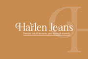 Angilena, a Serif Font by Mantype Studio (Thumbnail 9 of 14)