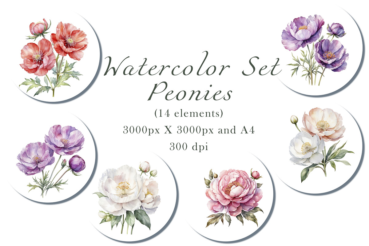 Peony Set, an Object Graphic by ArtOfSoul (Photo 1 of 6)