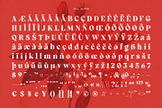 Grafiels - Elegant Classic Serif, a Serif Font by Variatype (Thumbnail 8 of 8)