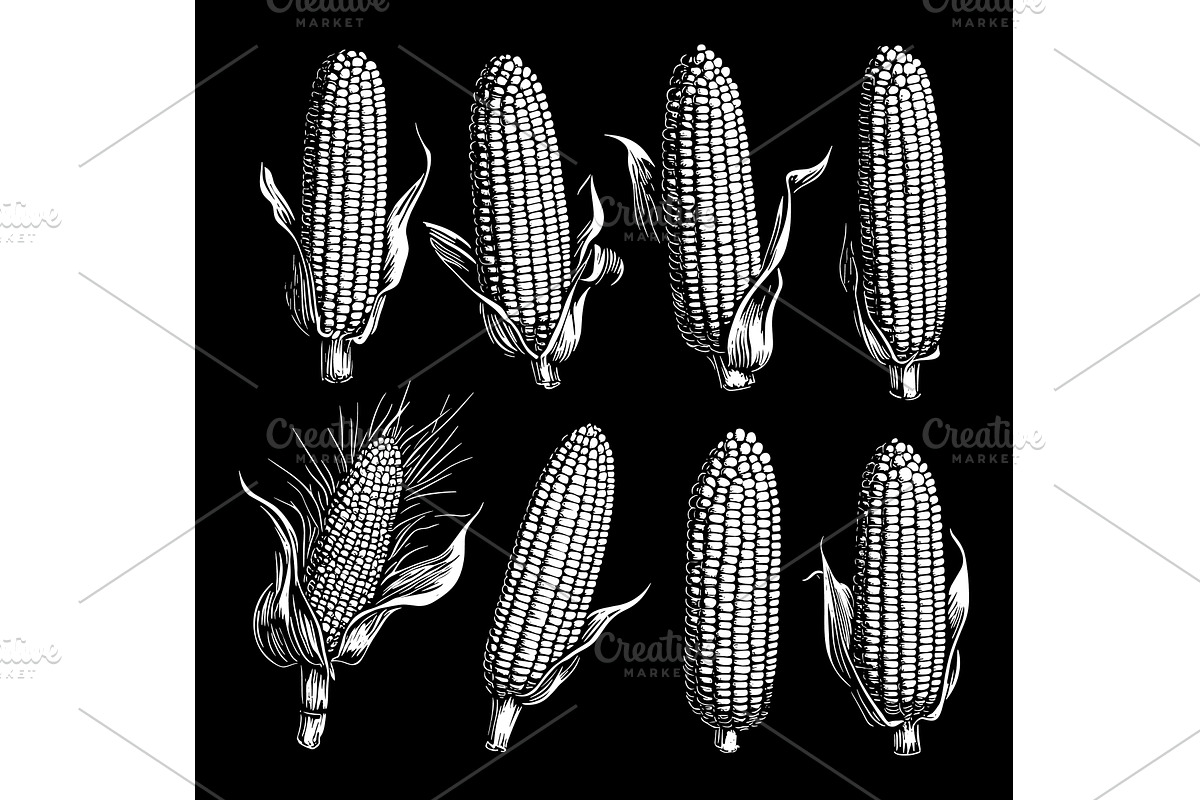 Sweet Corn Ear Maize Linocut Print, a Food Illustration by LadadikArt