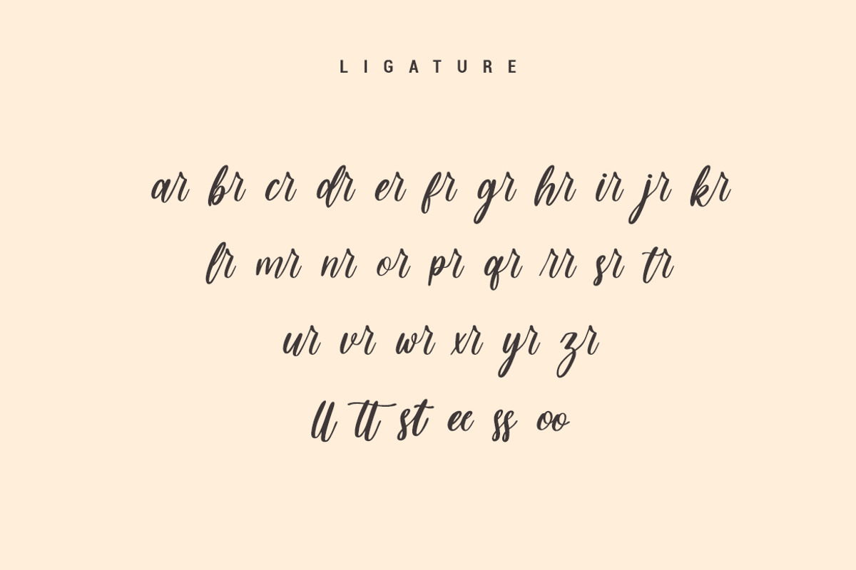 Strike - Modern Script Font, a Script Font by skiiller studio (Photo 7 of 9)