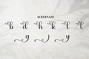 Justify | Script Font, a Handwritten Font by Scratchones (Thumbnail 8 of 9)