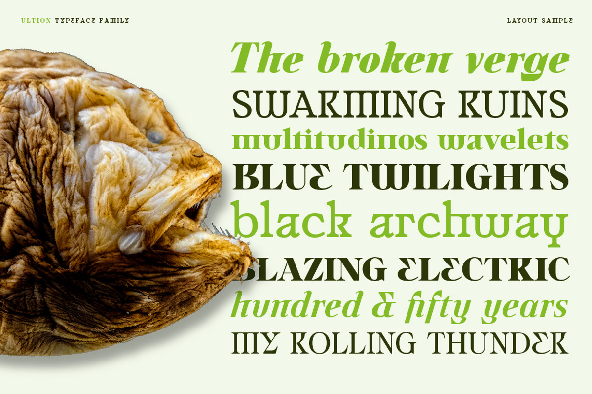 Ultion, a Serif Font by Typogama (Photo 7 of 16)