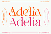 Adelia Mixable Serif, a Serif Font by Sam Parrett (Thumbnail 1 of 11)