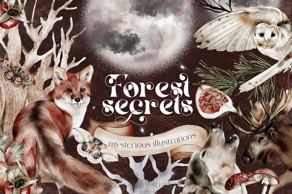Forest Illustrations Mystic Autumn, an Animal Illustration by Busy May Studio (Photo 1 of 20)
