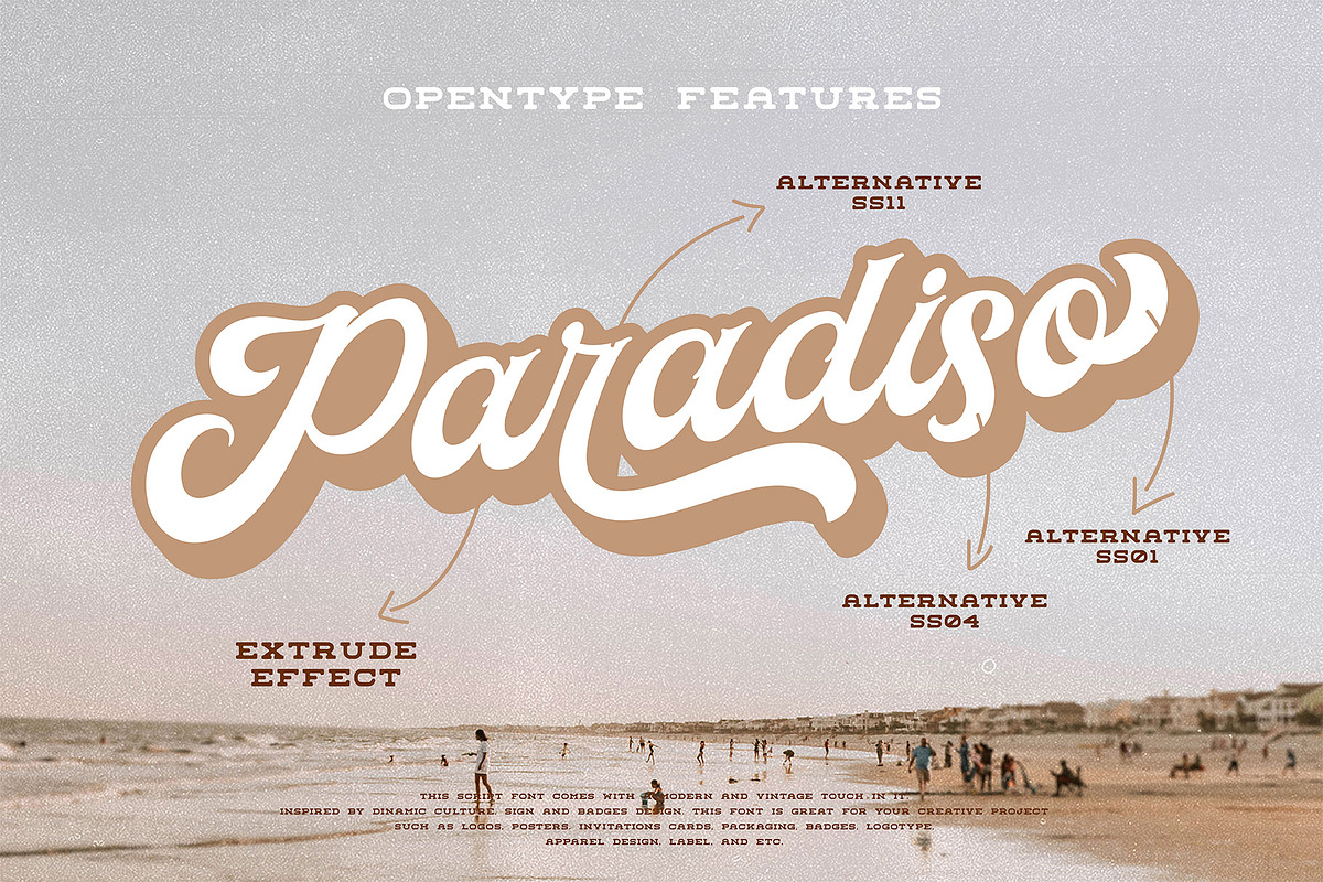Paradiso Bold Script, a Script Font by ngene (Photo 10 of 11)