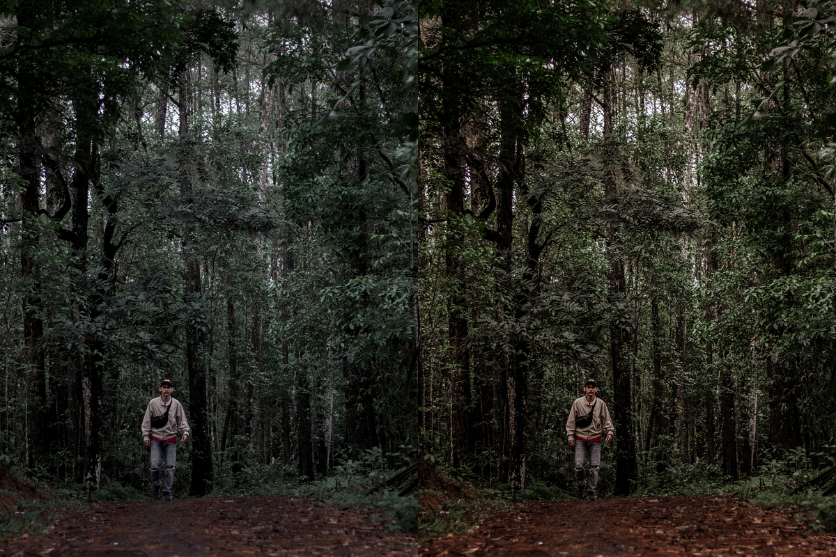 10 Forest Lightroom Presets, a Preset Add-On by RamsaGraphi (Photo 5 of 10)