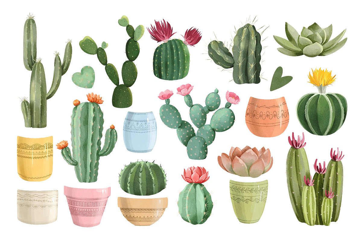 Watercolor Cactus, Succulent Clipart, an Object Illustration by ArtGiftsStudio (Photo 2 of 4)