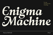 Panasea | 12 Fonts, a Serif Font by Skinny Type (Thumbnail 7 of 15)