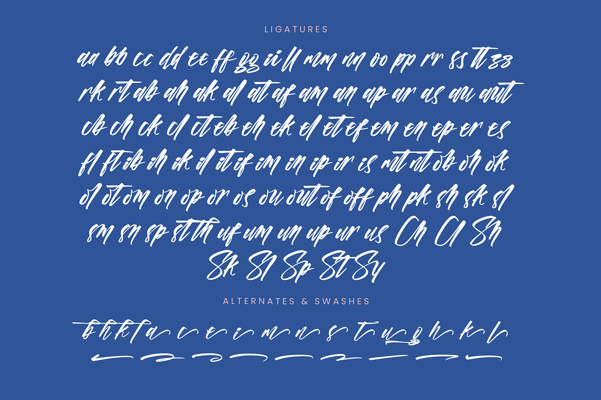 Vichellen Jordan Modern Brush Font, a Script Font by stylishtype.co (Photo 18 of 20)