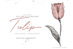 VINTAGE TULIP ILLUSTRATION