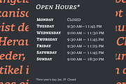 Rival Font Family, a Slab Serif Font by Mostardesign Type Foundry (Thumbnail 12 of 13)