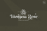 Mistic Typeface, a Serif Font by alit design (Thumbnail 11 of 12)
