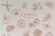 Line Floral Clipart Vector Flowers, an Illustration by whiteheartdesign (Thumbnail 5 of 12)