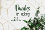 Willow & Thyme with Logo Ornaments, a Script Font by Storyteller Design (Thumbnail 10 of 10)