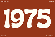 TAN - CHARLIE, a Handwritten Font by TanType (Thumbnail 11 of 14)