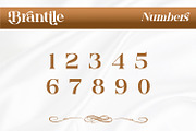 Brantile - Modern Serif Display Font, a Serif Font by Rishsketch (Thumbnail 10 of 14)