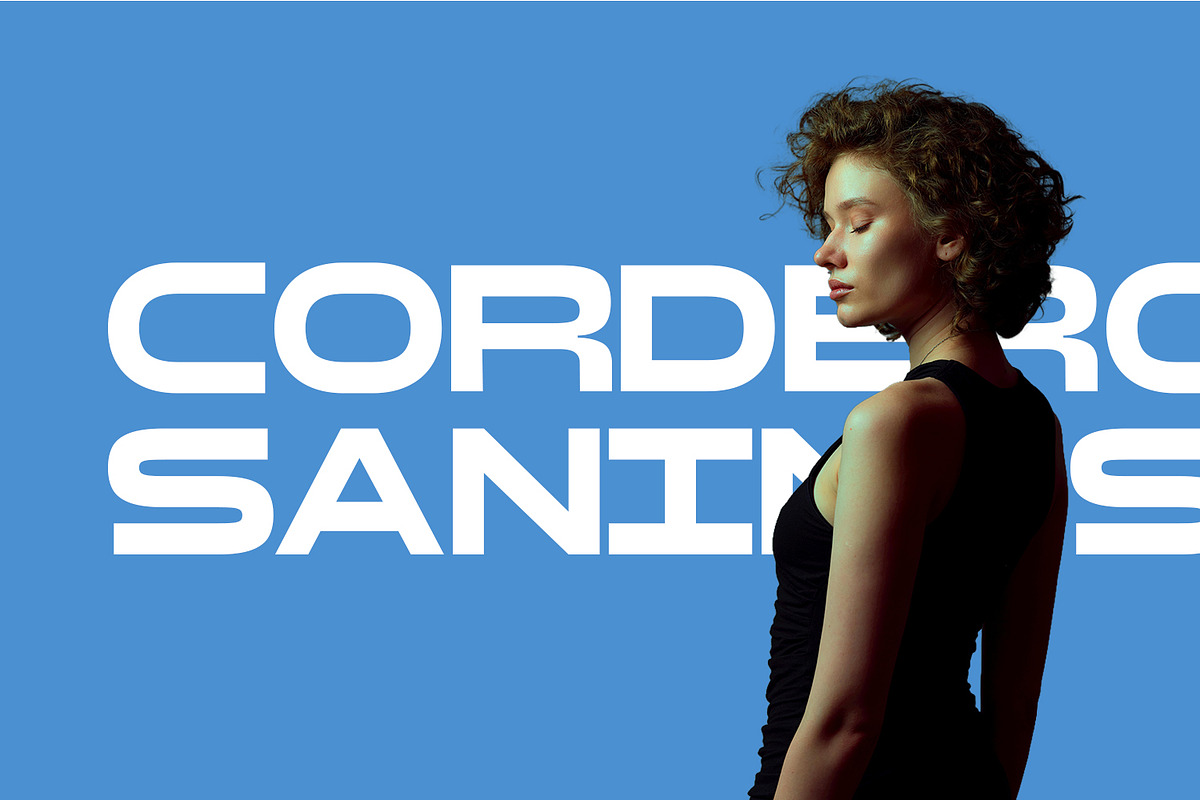 Auston Display, a Sans Serif Font by Foxtype (Photo 2 of 7)