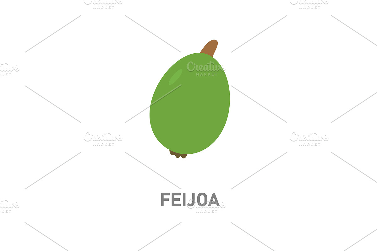 Feijoa tropical fruit. Green exotic, a Food Illustration by GraphiShop
