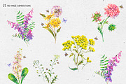 Watercolor meadow herbs&flowers, an Illustration by Depiano (Thumbnail 5 of 19)