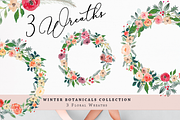 Winter Botanicals Clipart, an Illustration by Emerald & Ivy Studios (Thumbnail 3 of 9)