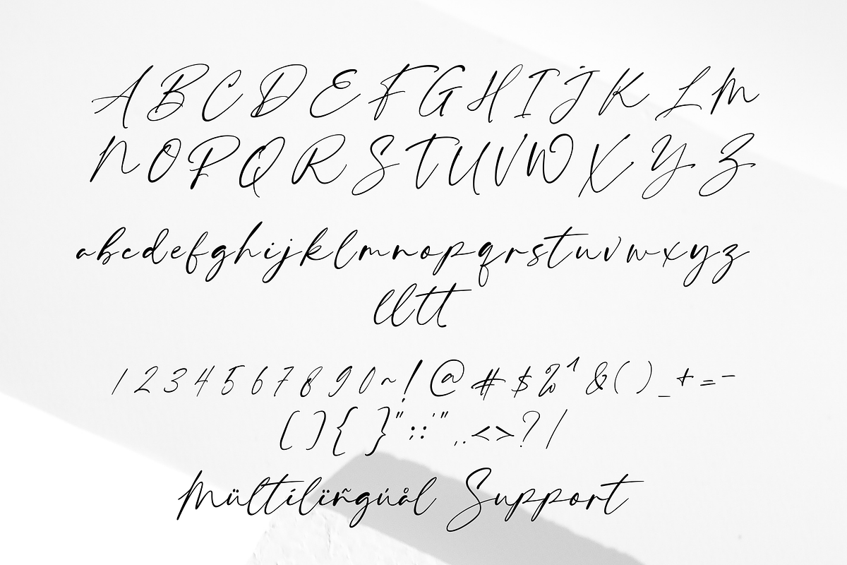White Palmer - Organic Signature, a Script Font by Creavibes Design (Photo 10 of 11)