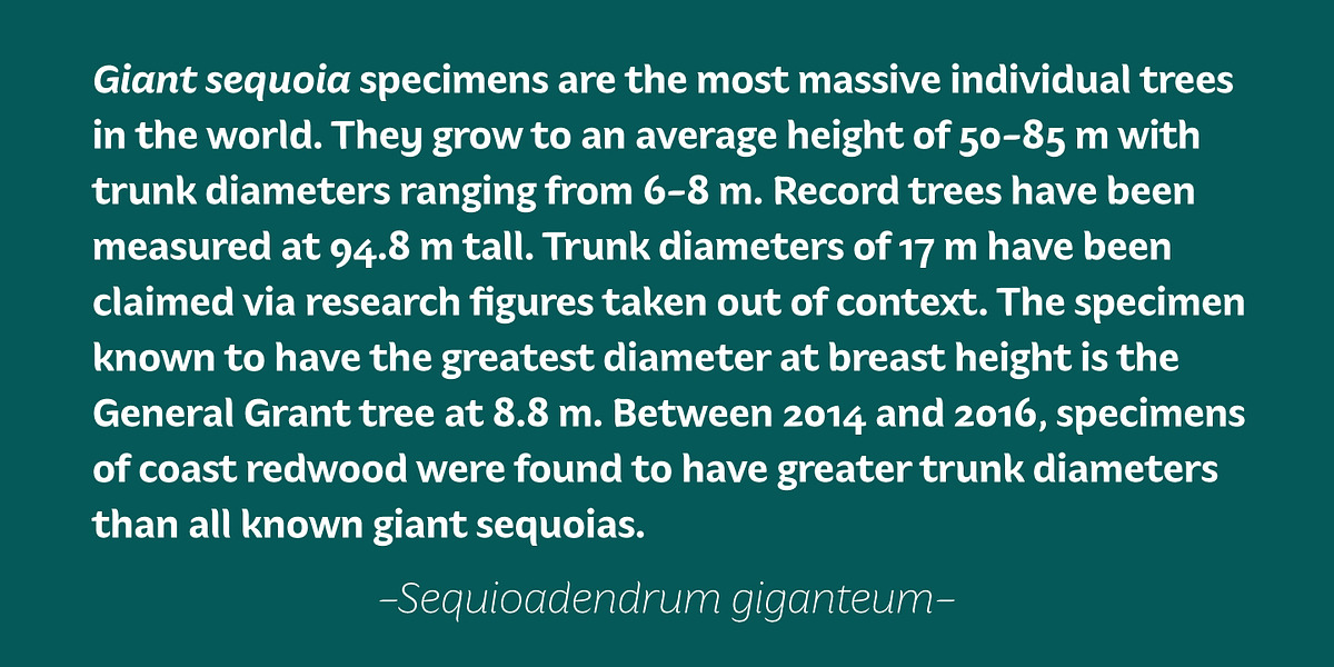 Hua, a Sans Serif Font by YXType (Photo 8 of 10)