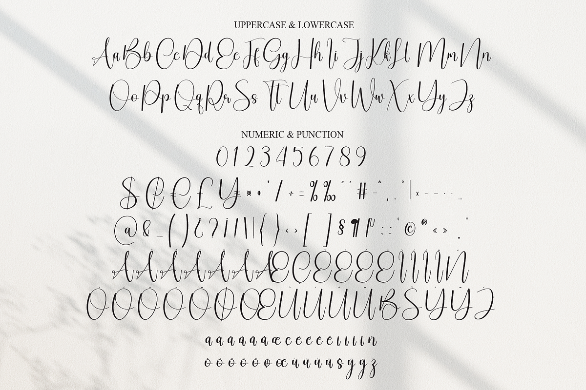 Montage Signature | Script Font, a Handwritten Font by Scratchones (Photo 6 of 9)