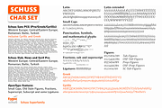 10 Fonts Schuss News Pro, a Serif Font by typic schuss (Thumbnail 14 of 18)