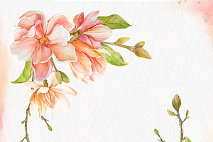 Watercolor Coral Magnolia