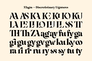 Elagra - Elegant Stencil Serif Font, a Serif Font by Sign Studio (Thumbnail 12 of 15)