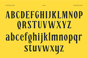 CHEVILE - Bold Elegant Display Font, a Serif Font by Pekotype (Thumbnail 3 of 13)