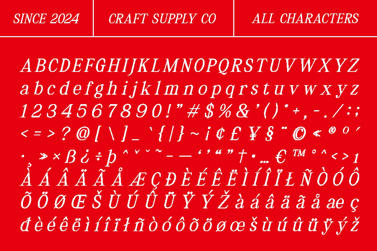 Asthetic Pixel, a Serif Font by Craft Supply Co. (Photo 8 of 8)