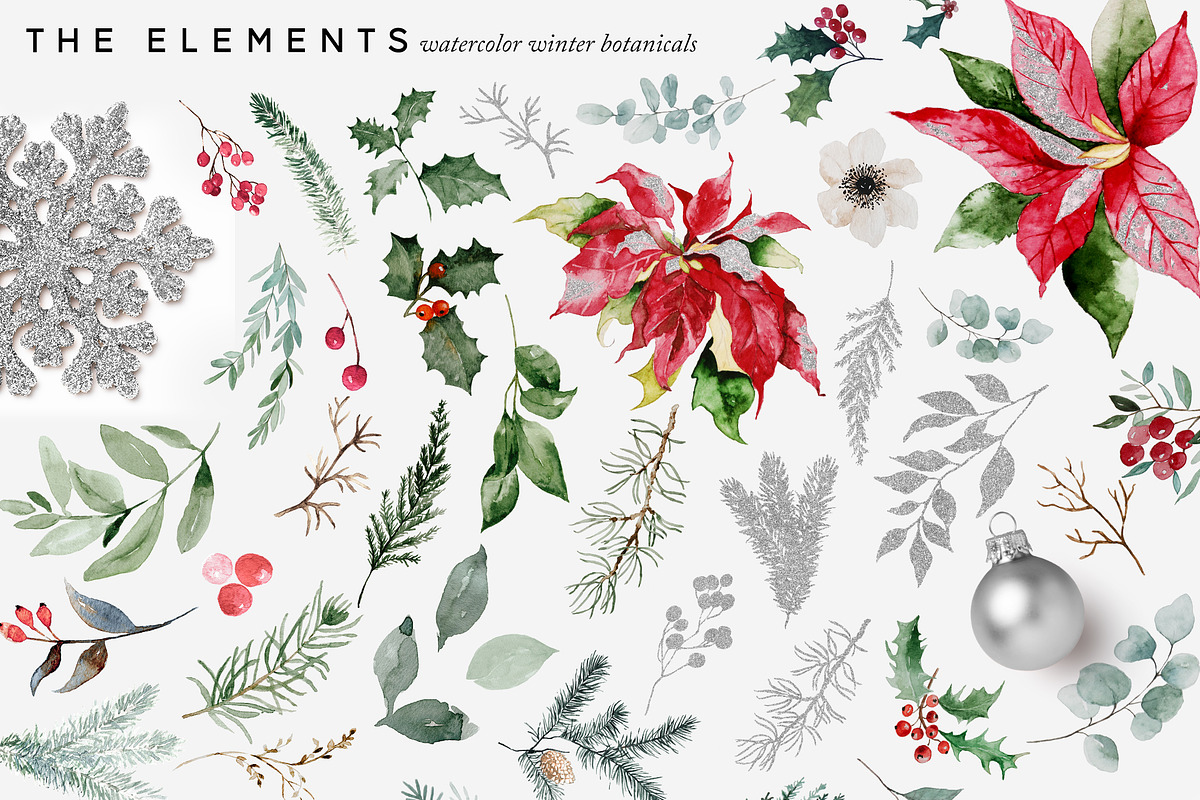 Merry & Bright Watercolor Botanicals, an Illustration by studioequinox (Photo 4 of 10)