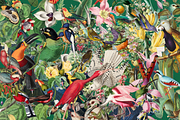 1150 Vintage Bird Illustratins, an Animal Illustration by Lilithcollageart (Thumbnail 4 of 10)