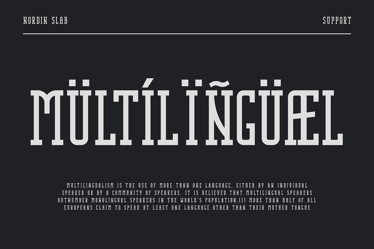 Nordin Slab - Condensed Slab Serif, a Slab Serif Font by Craft Supply Co. (Photo 13 of 16)