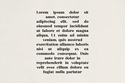 Averique – Elegant Modern Serif Font, a Serif Font by Only Fonts (Thumbnail 9 of 11)